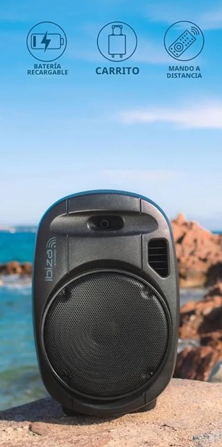 Altavoz Portátil grande