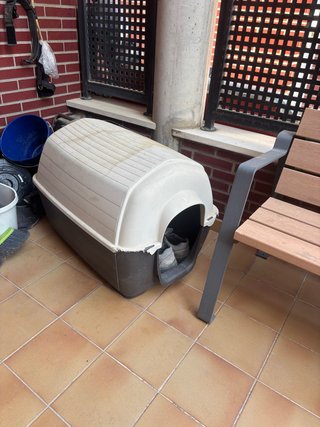 Caseta para perro de plástico