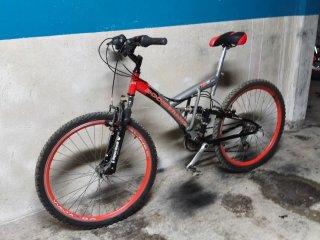 Bicicleta
