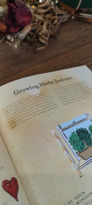Libro - The Green Wiccan Herbal de Silja