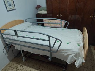 Grua y Cama articulada eléctrica elevable