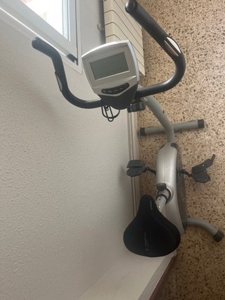 Bicicleta Estática Gris