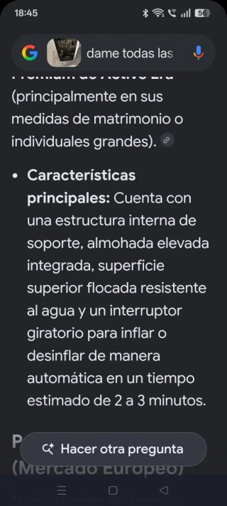 Cama Hinchable Autohinchable