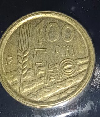 Lote 28 Monedas 100 Pesetas Rubias + Variantes.
