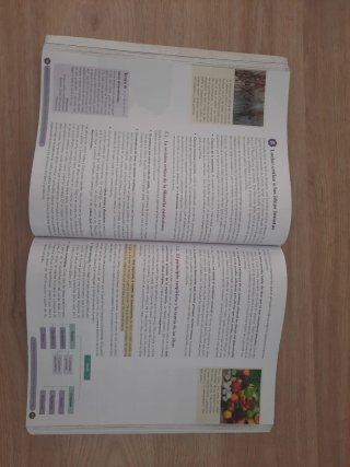 Historia de la Filosofía, 2 Bachillerato, Genio...