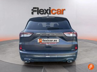 Ford Kuga ST-Line 2.0 EcoBlue 88kW (120CV) Auto