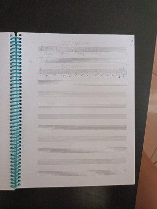 Llenguatge Musical 5è Nivell