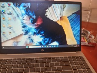 Ordenador HP Plata