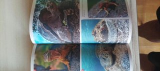 Última guia de Lonely Planet en español de ECUADOR