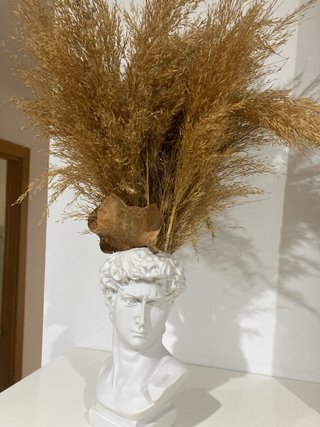 Busto de David con decoración