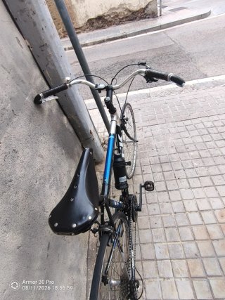 Bicicleta Trek Alpha Eléctrica