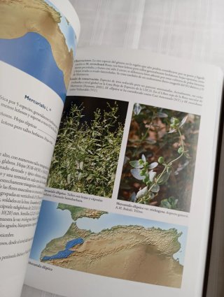 Árboles y arbustos autóctonos del Norte de África
