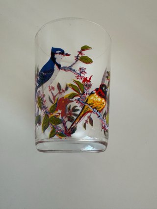 4 Vasos Cristal Pajaritos Multicolor