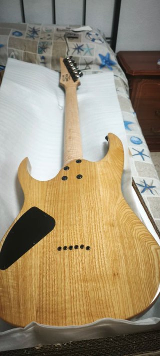 Ibanez RG 421 Guitarra Eléctrica, con factura.