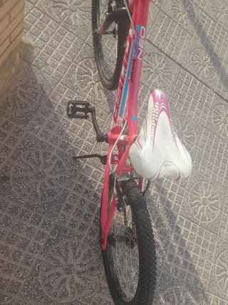 Bicicleta infantil 20 pulgadas