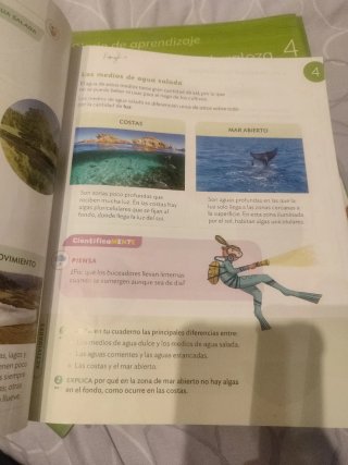 Ciencias de la Naturaleza, 4 Primaria, Proyecto...