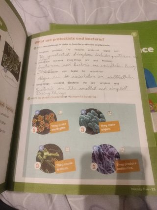 Ciencias de la Naturaleza, 4 Primaria, Proyecto...