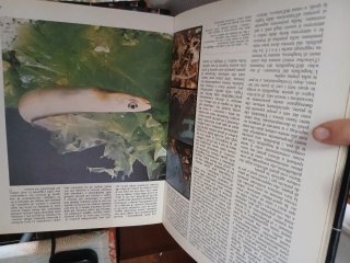 Enciclopedia degli animali