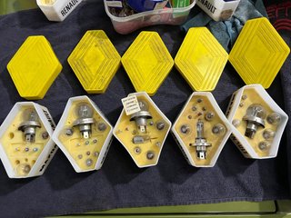 Estuches y bombillas Renault