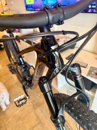 Giant Anthem Advanced 3 2025 talla M