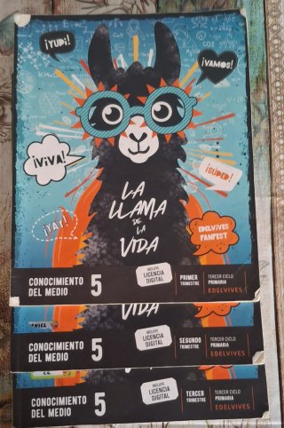 Conocimiento del medio 5, Tercer Ciclo Primaria...