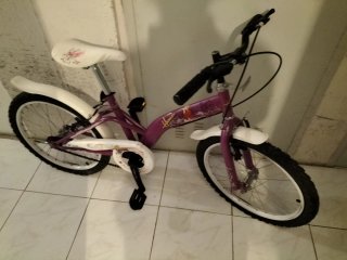 Bicicleta Morada Infantil