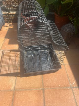 Jaula para pájaro o loro negra