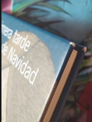 La primera tarde después de Navidad