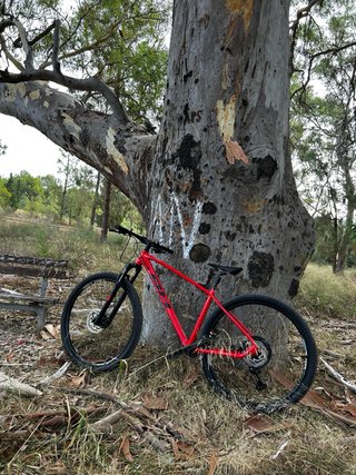 BH Expert 4.5 2023 - 200km
