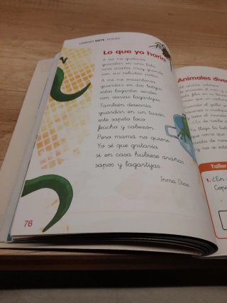 LECTURAS LA NAVE DE LOS LIBROS 1 PRIMARIA