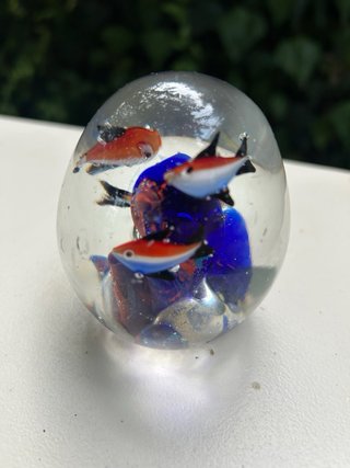 Pisapapeles acuario peces cristal