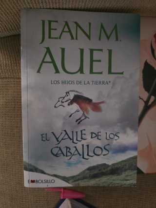 Libros de novela , autoayuda