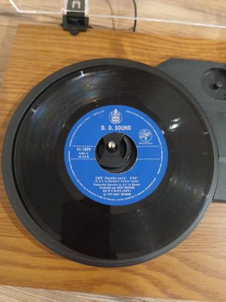 DEL LP CAFÉ - SHE'S NOT A DISCO LADY
