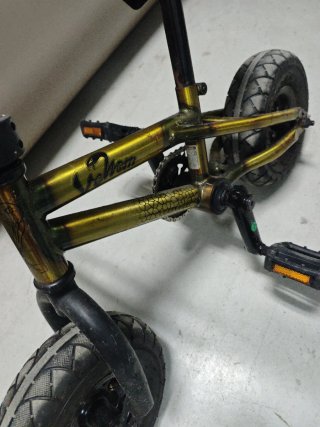 Mini BMX Venom Pro 2019
