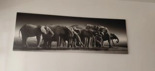 Elegante cuadro de elefantes en blanco y negro
