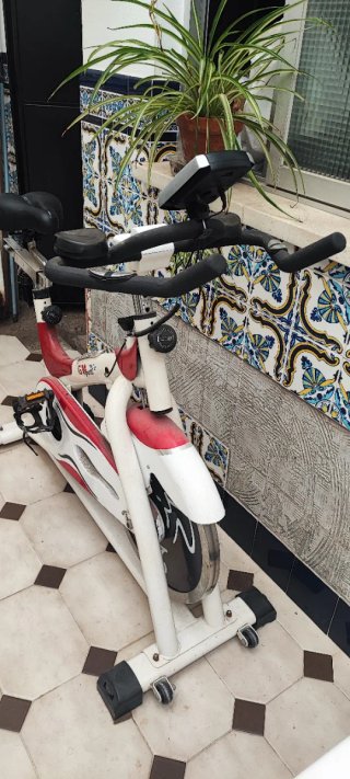 Bicicleta Estática Ciclostati Muy Buen Estado