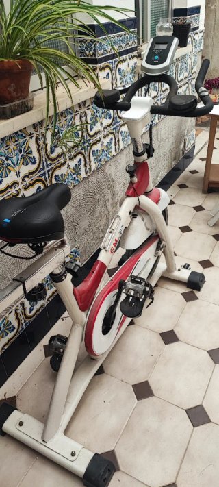 Bicicleta Estática Ciclostati Muy Buen Estado