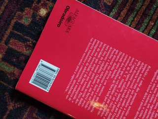 Rebeldes - Susan E. Hinton (Galego)