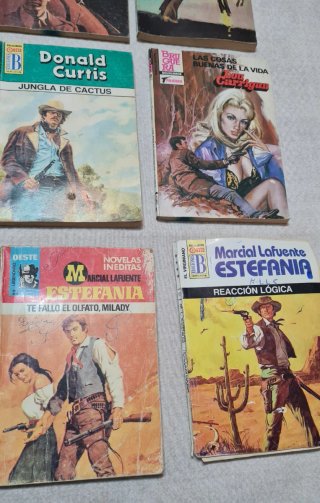 Lote 16 Novelas del Oeste.