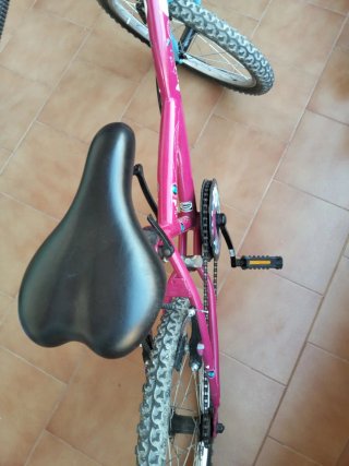 Bicicleta infantil rosa y azul