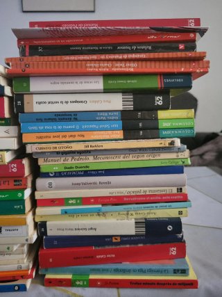 Lote de libros