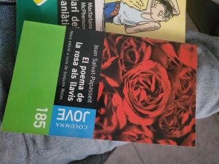 Lote de libros