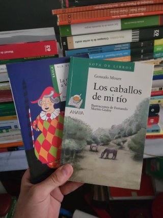 Lote de libros