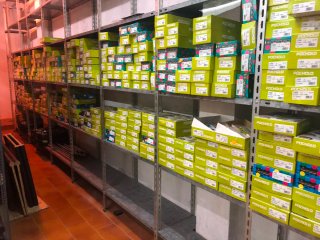Lote 6500 pares calcetines Pocholo