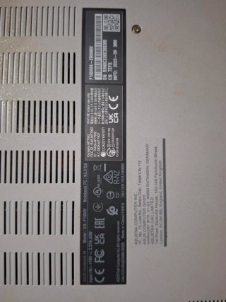 ASUS Vivobook Plata