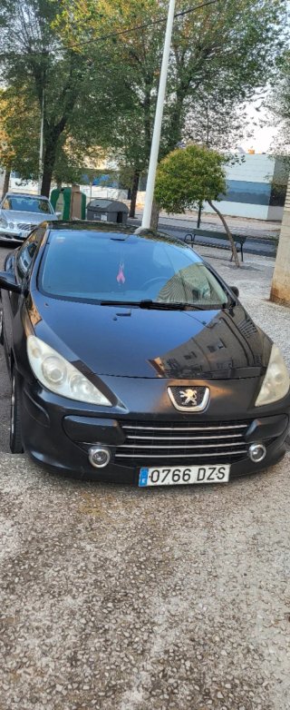 Peugeot 307 2007