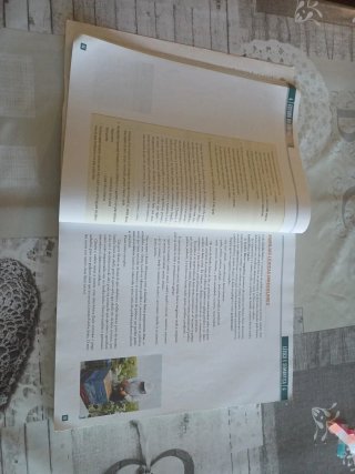Lingua e literatura 1.