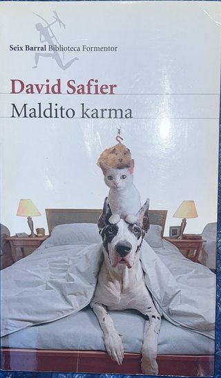 Maldito karma – David Safier