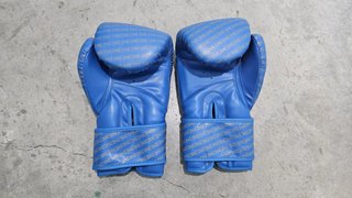 Guantes de Boxeo Charlie 12oz Azul