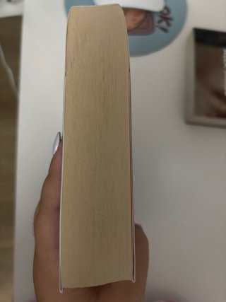 Libro Antes de diciembre